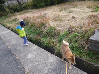 P1050719.jpg