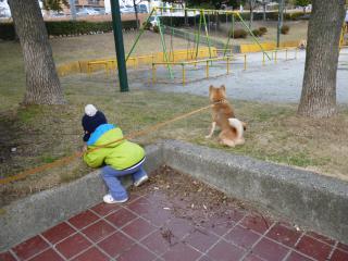 P1050731.jpg