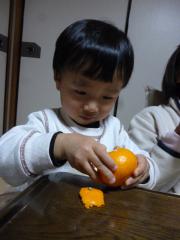 P1050745.jpg
