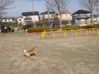 P1050803.jpg