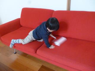 P1050847.jpg