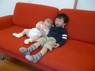 P1050857.jpg