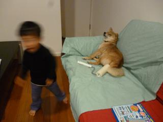 P1050865.jpg