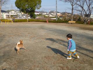 P1050877.jpg
