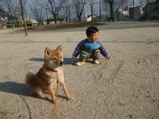 P1050897.jpg