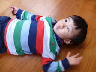 P1060043.jpg