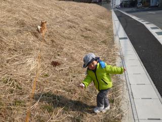 P1060234.jpg