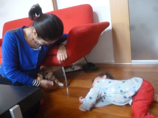 P1180984.jpg