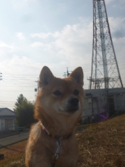 P1190028.jpg