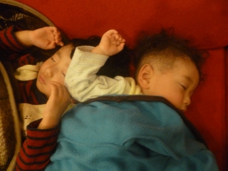 P1190095.jpg