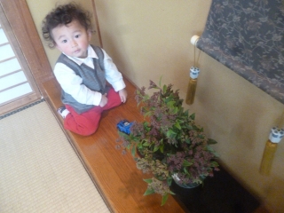 P1190151.jpg
