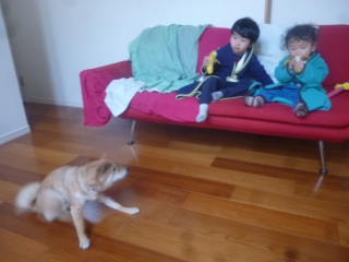 P1190284.jpg
