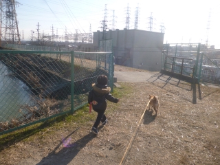 P1190313.jpg