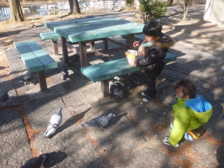 P1190327.jpg