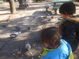 P1190336.jpg