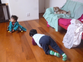 P1190383.jpg