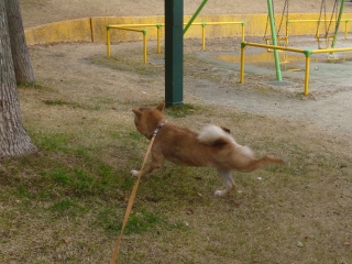 P1190396.jpg