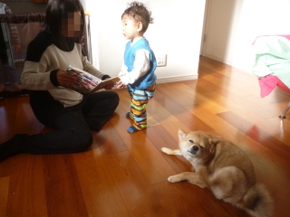P1190424.jpg