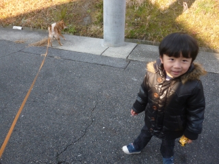 P1190457.jpg
