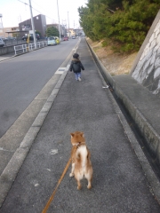 P1190489.jpg