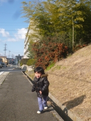 P1190491.jpg