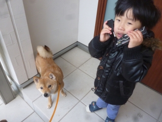 P1190501.jpg