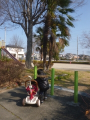 P1190726.jpg