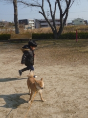 P1190733.jpg