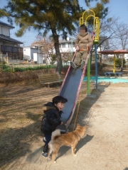 P1190741.jpg