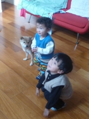 P1190828.jpg