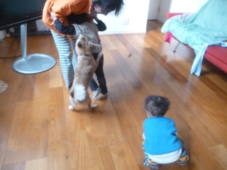 P1190830.jpg