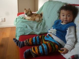 P1190832.jpg
