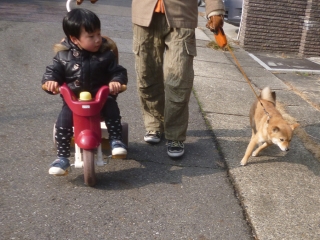P1190833.jpg
