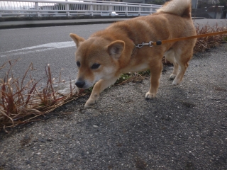 P1190835.jpg