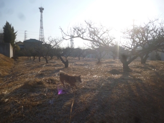 P1190843.jpg