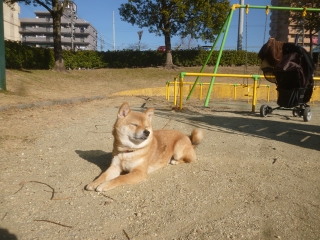 P1190925.jpg