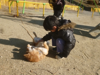 P1190926.jpg