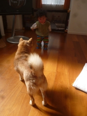 P1200016.jpg