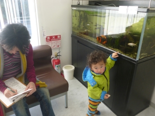 P1200019.jpg