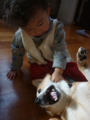 P1200055.jpg