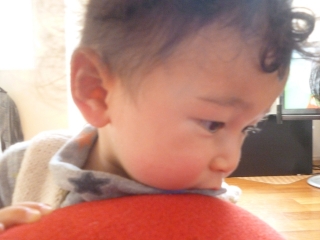 P1200073.jpg