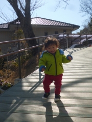 P1200091.jpg