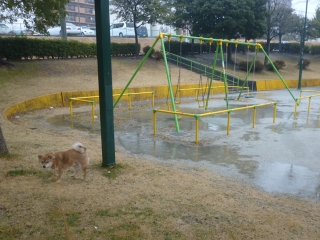 P1200127.jpg