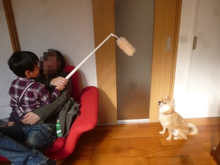 P1200236.jpg