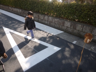 P1200336.jpg