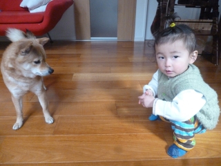 P1200387.jpg