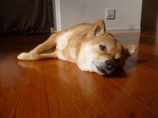 P1200420.jpg