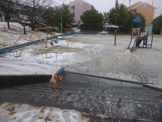 P1200462.jpg