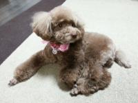 20121109_210352.jpg