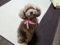 20121109_210413.jpg